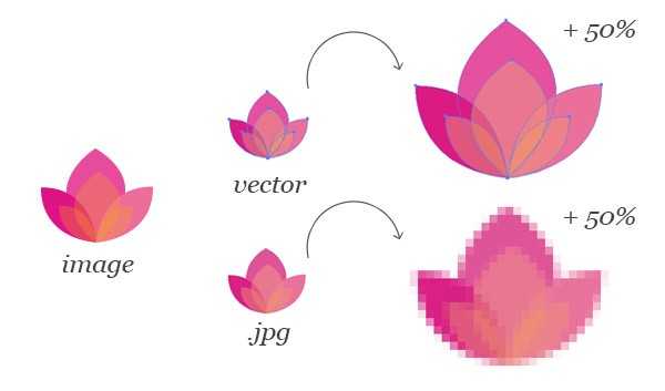 Building Interactive Websites using Scalable Vector Graphics (SVG